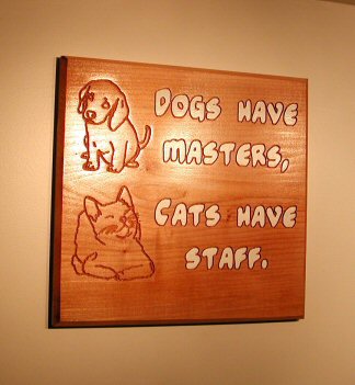 Dogs have masters, Cats have staff.